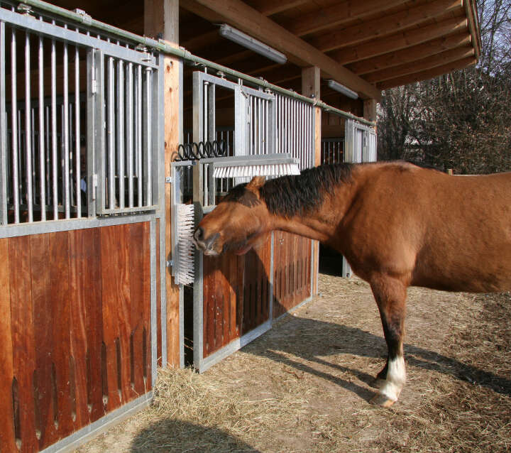 KERBL Viehbürste Texas
